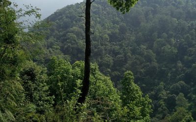 WhatsApp Image 2019-02-19 at 16.22.15