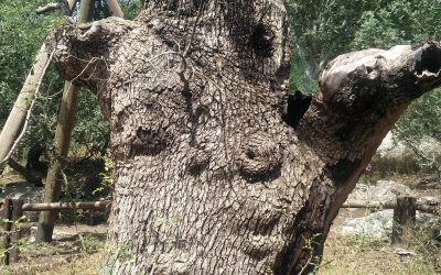 WhatsApp Image 2019-02-23 at 22.53.52