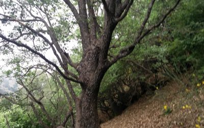 WhatsApp Image 2019-02-23 at 22.53.52(1)