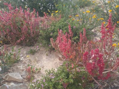 WhatsApp Image 2019-02-27 at 15.05.12