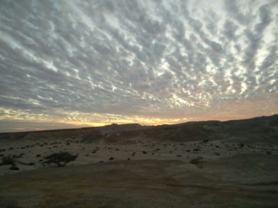 WhatsApp Image 2019-03-03 at 09.06.53(1)